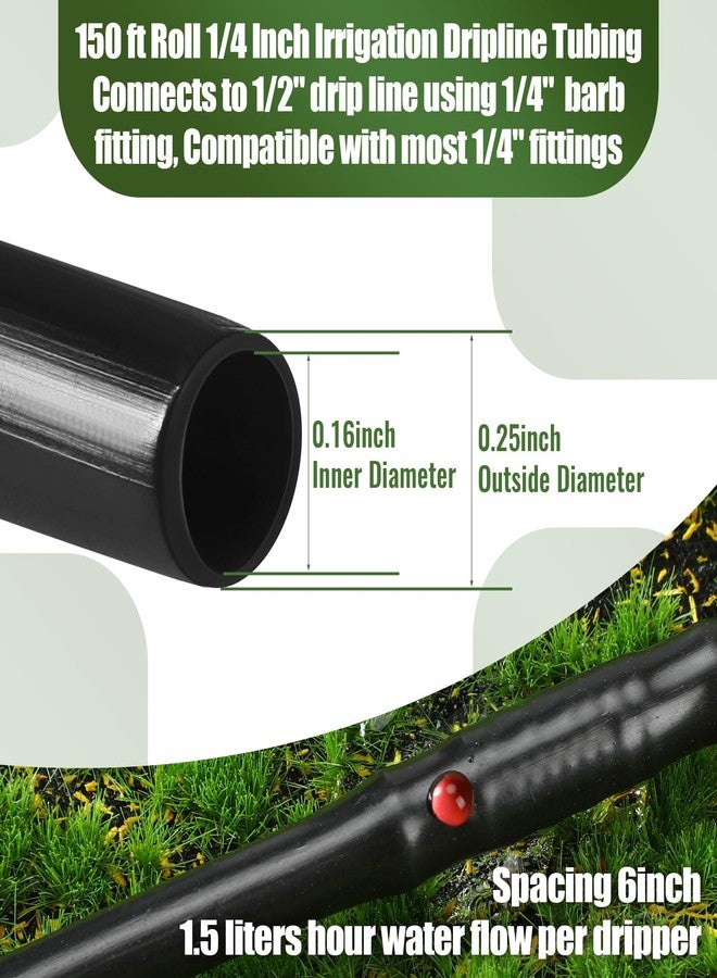 Innconee 1/4 Inch Drip Irrigation Tubing Hydroponics Dripline Hose with 6 Inch Emitter Spacing Irrigation Drip Line Emitter Tubing for Gardens Efficient Raised Beds Flower Watering(Black,150 ft) - Image 2
