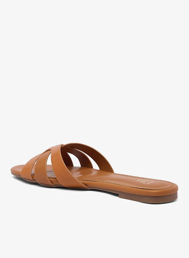 ايلا صنادل مسطحة