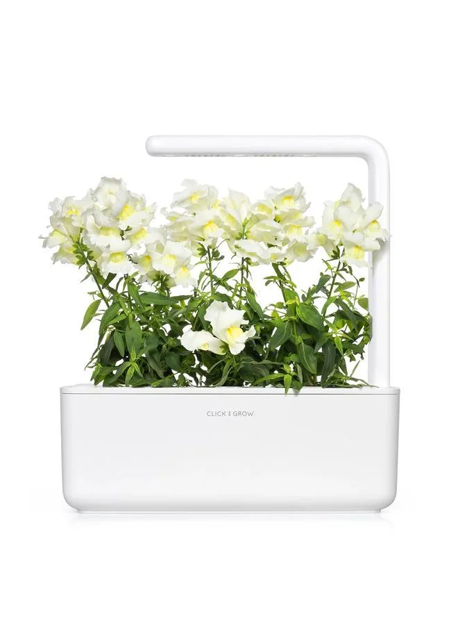 Click & Grow Plant pod 3-pack White Snapdragon