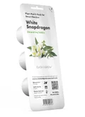 Click & Grow Plant pod 3-pack White Snapdragon