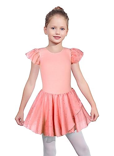 EQSJIU Girls Ruffle Sleeve Ballet Dance Dress Tutu Skirted Leotard Hot Pink Leotard for Girls Dance 4t 5t 4-5t - Image 2