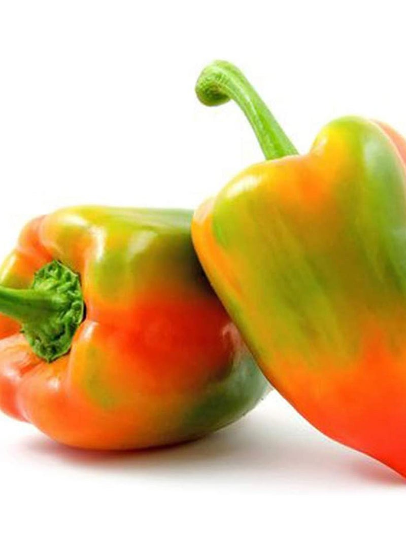 GGOOT 150pcs Bell Pepper Seeds for Outdoor Gardening Planting Special Colors Annual Heirloom  - Image 1