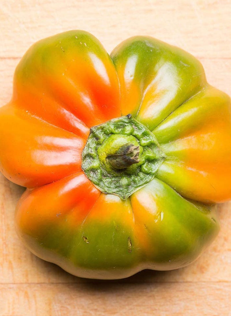 GGOOT 150pcs Bell Pepper Seeds for Outdoor Gardening Planting Special Colors Annual Heirloom  - Image 2