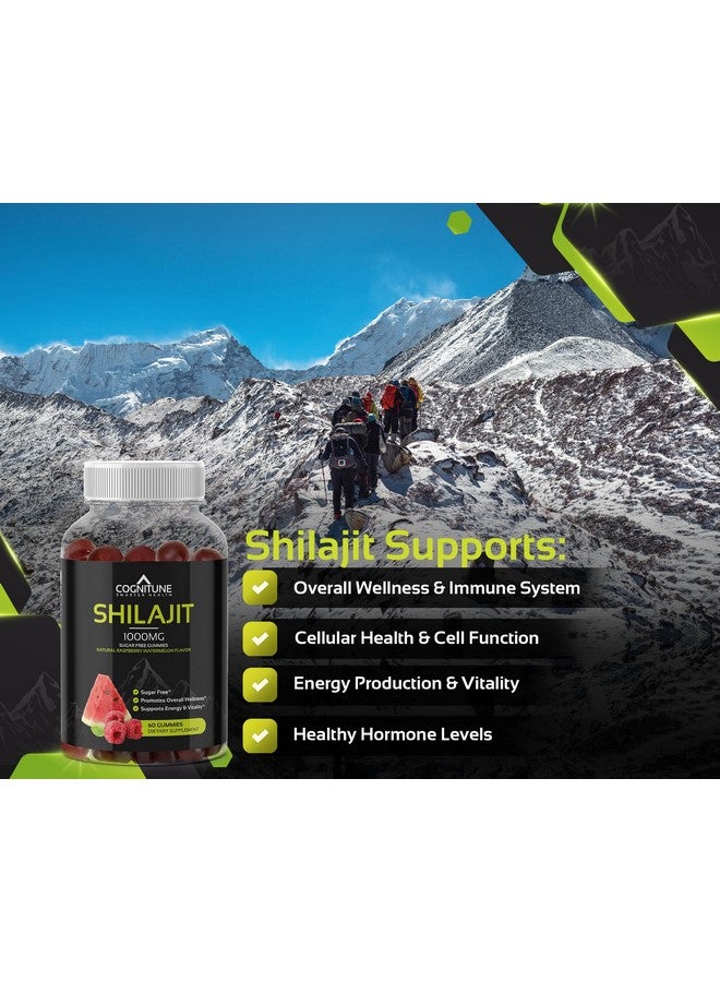 CogniTune جومي شيلجيت - مكمل شيلجيت نقي وقوي، 1,000 ملغ لكل حصة، بنكهة توت العليق والبطيخ الطبيعية الخالية من السكر، غنية بالمعادن، حمض الفولفيك، تعزز الطاقة والحيوية والرفاهية العامة - Image 4