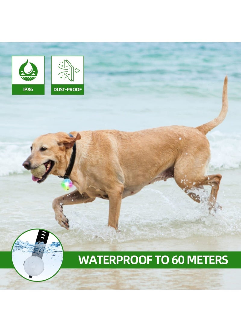 Loquat 2 Pcs Dog Collar Lights, Led Light for Dog Collar Rechargeable Waterproof Safety Light IPX6 Waterproof  4 Modes Light for Pet Pup Large Dogs for Night Walking (Black  Green) - Image 5
