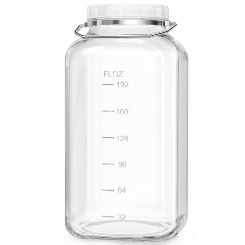 Folinstall 2 Gallon Large Glass Jar with Lid, Wide Mouth Storage Jars with Stainless Handle, Extra Big Glass Container with 2 Scale Mark for Storing Food, Kitchen Organization, 7400 ML/250 OZ - Image 1