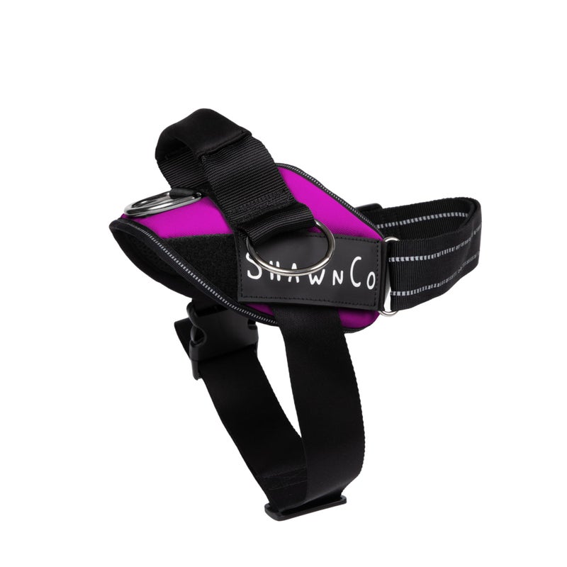 ShawnCo Essential Pro Dog Harness, No-Pull Pet Vest with 3 Leash Clips and Removable, Reflective Side Patches, Adjustable and Padded Harness for Small, Medium and Large Dogs (Orchid, S) - Image 1