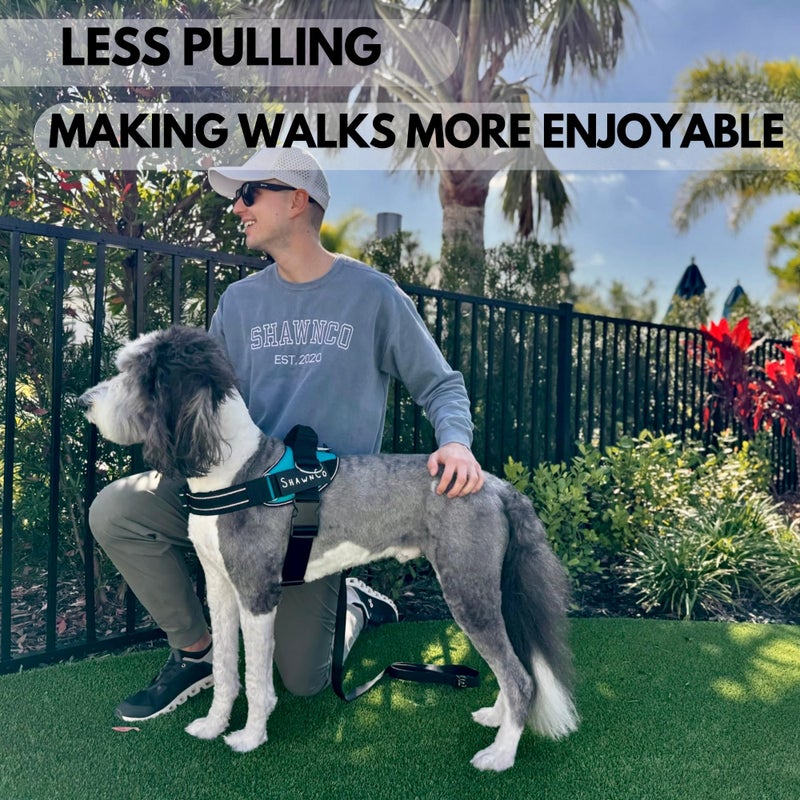 ShawnCo Essential Pro Dog Harness, No-Pull Pet Vest with 3 Leash Clips and Removable, Reflective Side Patches, Adjustable and Padded Harness for Small, Medium and Large Dogs (Orchid, S) - Image 5