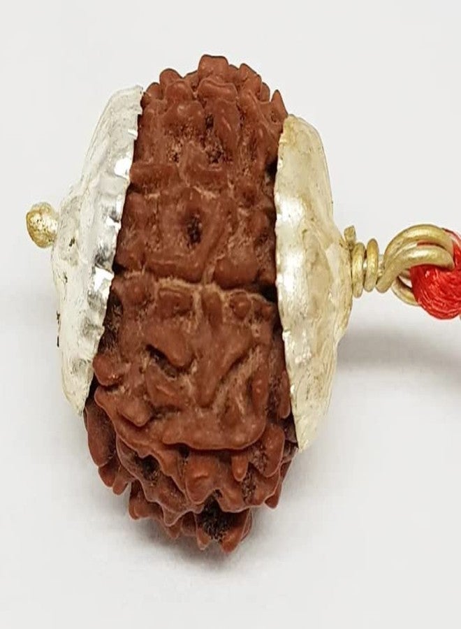 IRIS GEMS 9 मुकी रुत्राक्ष 9 Mukhi Rudraksha أصلي معتمد بتغطية فضية 9 وجه Rudraksha नौ मुकी रुत्राक्ष सिल्वर पेंडंत نيبالي رودراكشا مالا للرجال والنساء تسعة وجه روثراتشام - Image 3
