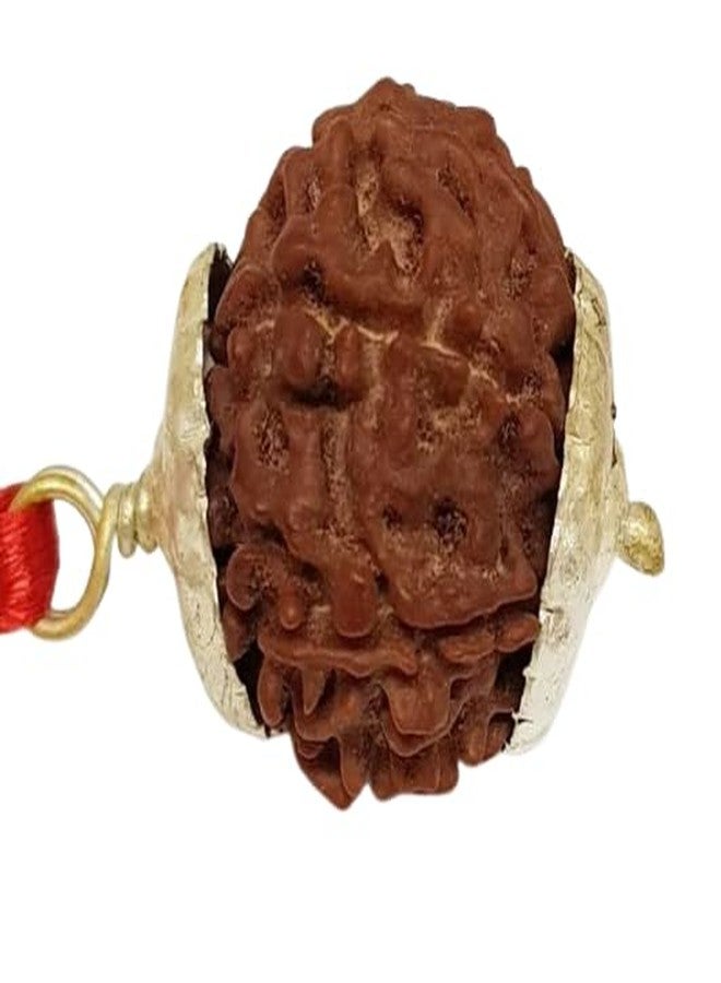 IRIS GEMS 9 मुकी रुत्राक्ष 9 Mukhi Rudraksha أصلي معتمد بتغطية فضية 9 وجه Rudraksha नौ मुकी रुत्राक्ष सिल्वर पेंडंत نيبالي رودراكشا مالا للرجال والنساء تسعة وجه روثراتشام - Image 1