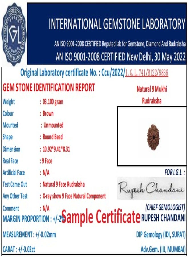 IRIS GEMS 9 मुकी रुत्राक्ष 9 Mukhi Rudraksha أصلي معتمد بتغطية فضية 9 وجه Rudraksha नौ मुकी रुत्राक्ष सिल्वर पेंडंत نيبالي رودراكشا مالا للرجال والنساء تسعة وجه روثراتشام - Image 4