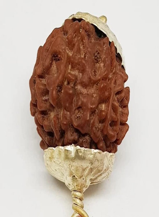 IRIS GEMS 9 मुकी रुत्राक्ष 9 Mukhi Rudraksha أصلي معتمد بتغطية فضية 9 وجه Rudraksha नौ मुकी रुत्राक्ष सिल्वर पेंडंत نيبالي رودراكشا مالا للرجال والنساء تسعة وجه روثراتشام - Image 2