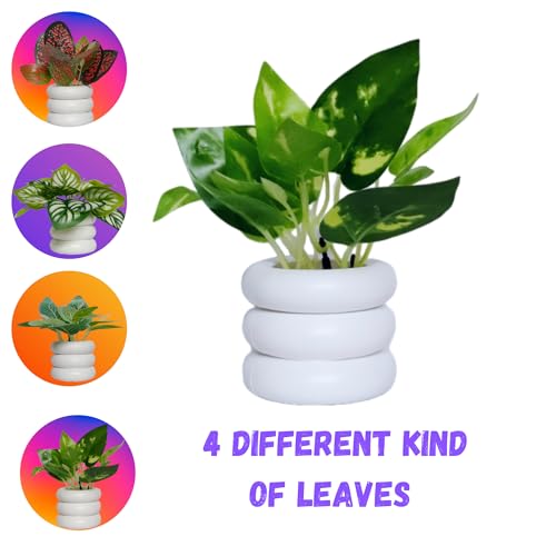 Flora Planet Artificial Plants for Home Decor|Realistic Looking|Home Decor Items|Durable Plastic|Wall Decoration Items for Living Room|Dimensions: 6 cm X 12 cm (Pack of 4, Multicolor) - Image 4