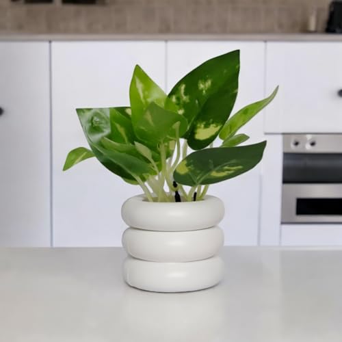 Flora Planet Artificial Plants for Home Decor|Realistic Looking|Home Decor Items|Durable Plastic|Wall Decoration Items for Living Room|Dimensions: 6 cm X 12 cm (Pack of 4, Multicolor) - Image 2
