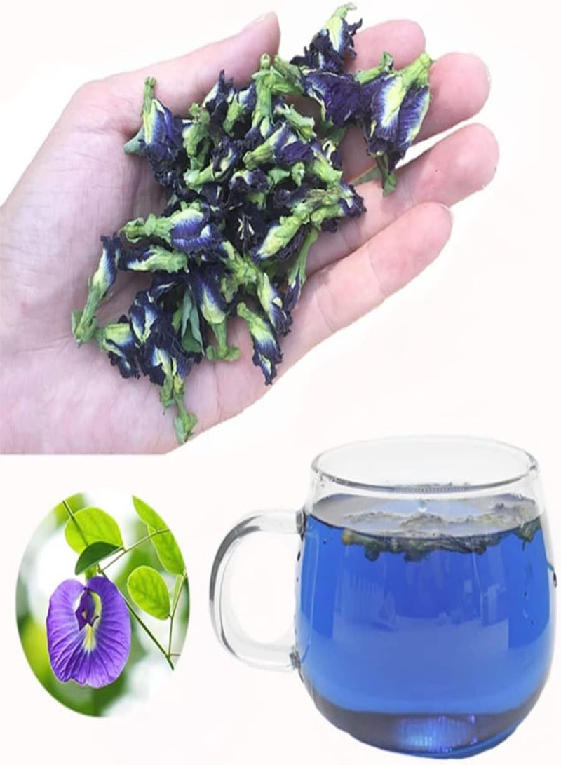 GGOOT 30 Seeds Blue Climbing Butterfly Pea Seeds Wild Blue Vine Darwin Cordofan Pea Bluebellvine Seeds- Decorative Flower for Home Garden Yard Decor  - Image 3