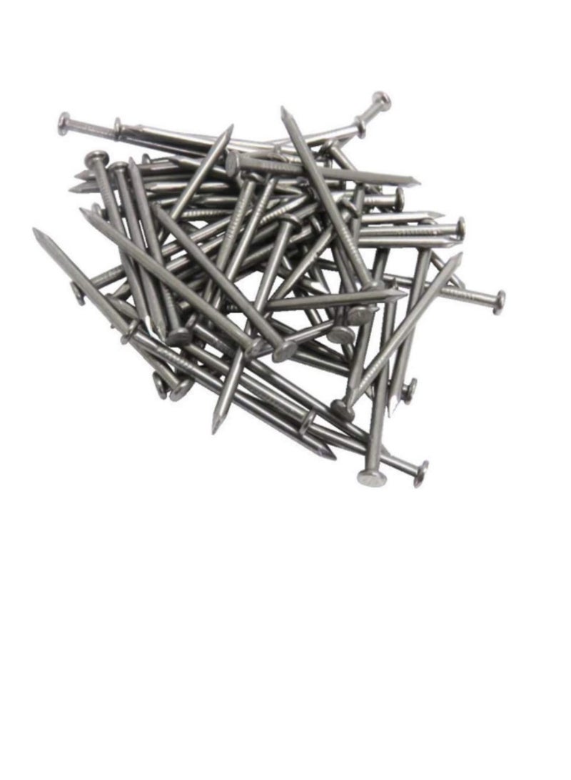 High Strength Round Head Nails For Carpentry Hardware Electrical Etc (600, 2 1/2 inch) - Image 1