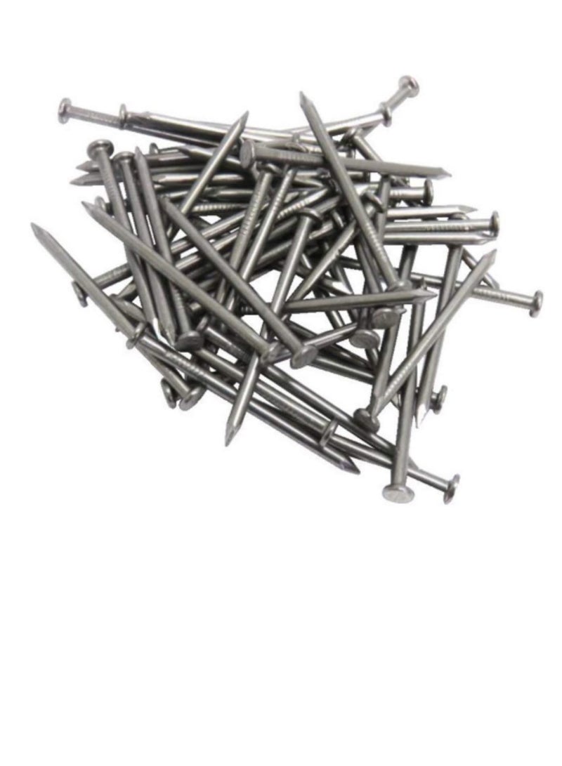 High Strength Round Head Nails For Carpentry Hardware Electrical Etc (600, 2 1/2 inch) - Image 2