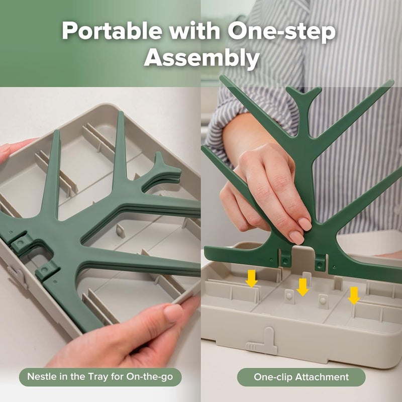 haakaa Baby Bottle Drying Rack - Space Saving Tree for Bottles, Pump Parts, and Pacifiers - BPA Free, Forest Green - Image 3