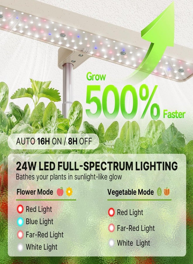 SUNCOZE Hydroponics Growing System Kit 12 Pods, 24W LED Grow Light Indoor Garden, 4L Water Tank with Quiet Pump, Adjustable Height Herb Garden Planter Indoor Kit, Gardening Gifts, Beige - Image 5