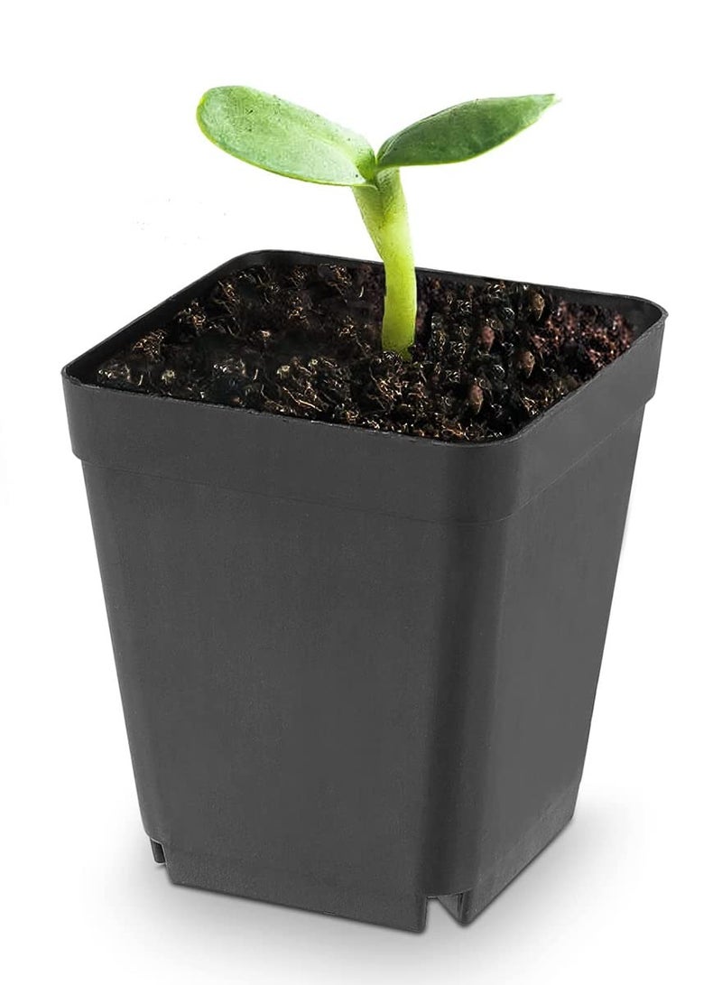 SYOSI Plastic Square Nursery Pots 36Pcs 3 Inch Plant Seed Starting Pots with Drainage Hole and Saucers for Seedling, Container for Your Room, Garden Office and Balcony Decor, Black  - Image 2