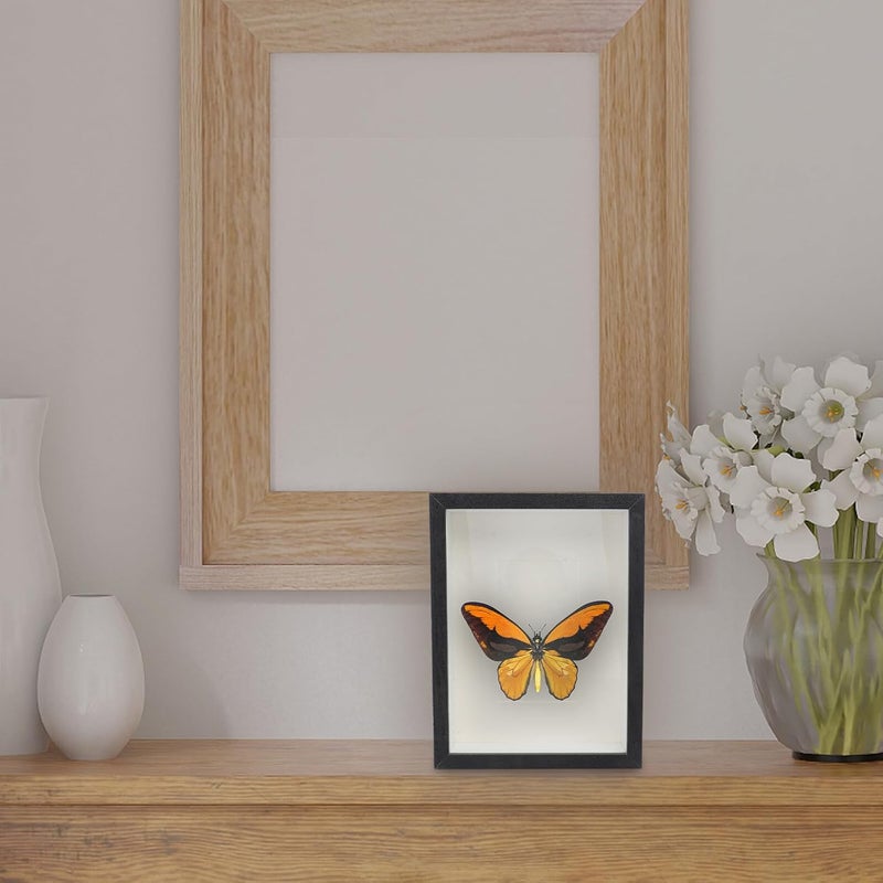 إطار صور أسود بحجم 8 بوصات مع زجاج، عرض عينات مجوف ثلاثي الأبعاد DIY للزهور والنباتات المجففة، حامل صور للطاولة والحائط لديكور المنزل - Image 4
