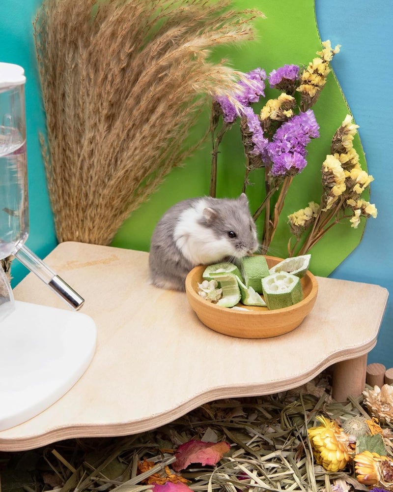 Niteangel Hamster Snacks and Treats Toy - Natural Treat for Dwarf Hamsters, Syrian Hamsters, Robo Hamsters, Gerbils, Mice, Degus or (Freeze-Dried Okra - 0.2 oz (5.5 g)) - Image 4
