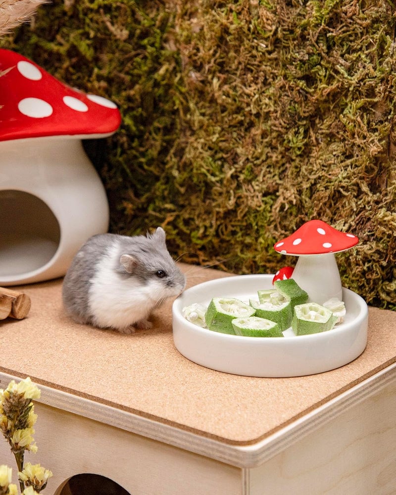 Niteangel Hamster Snacks and Treats Toy - Natural Treat for Dwarf Hamsters, Syrian Hamsters, Robo Hamsters, Gerbils, Mice, Degus or (Freeze-Dried Okra - 0.2 oz (5.5 g)) - Image 3