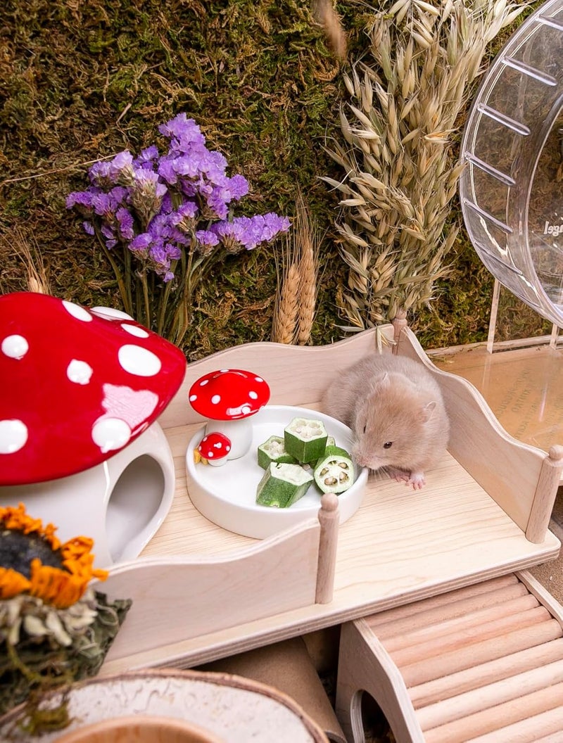 Niteangel Hamster Snacks and Treats Toy - Natural Treat for Dwarf Hamsters, Syrian Hamsters, Robo Hamsters, Gerbils, Mice, Degus or (Freeze-Dried Okra - 0.2 oz (5.5 g)) - Image 5
