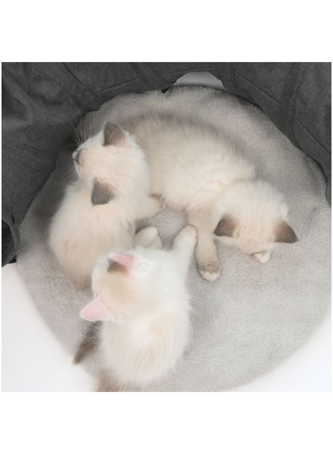 كاتيت فيسبر نفق رمادي - Image 4