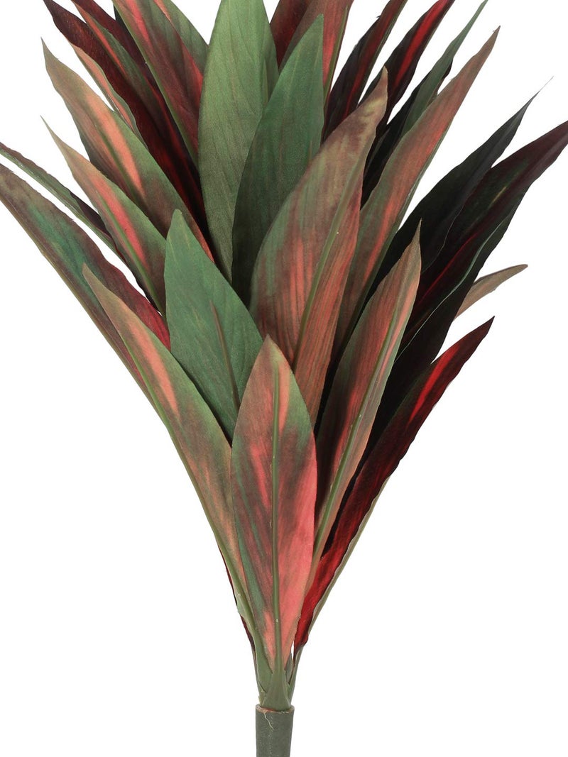 Fourwalls Dracaena Bush (35 Leaves, Red and Green, 46cm) - Image 2