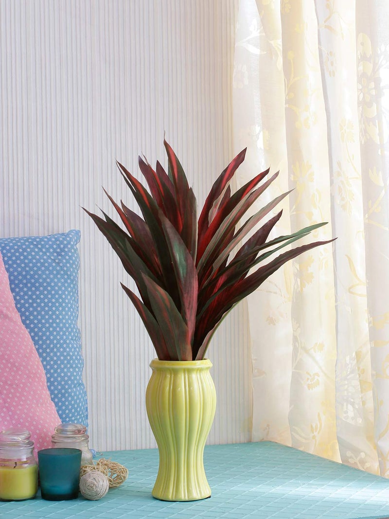 Fourwalls Dracaena Bush (35 Leaves, Red and Green, 46cm) - Image 3