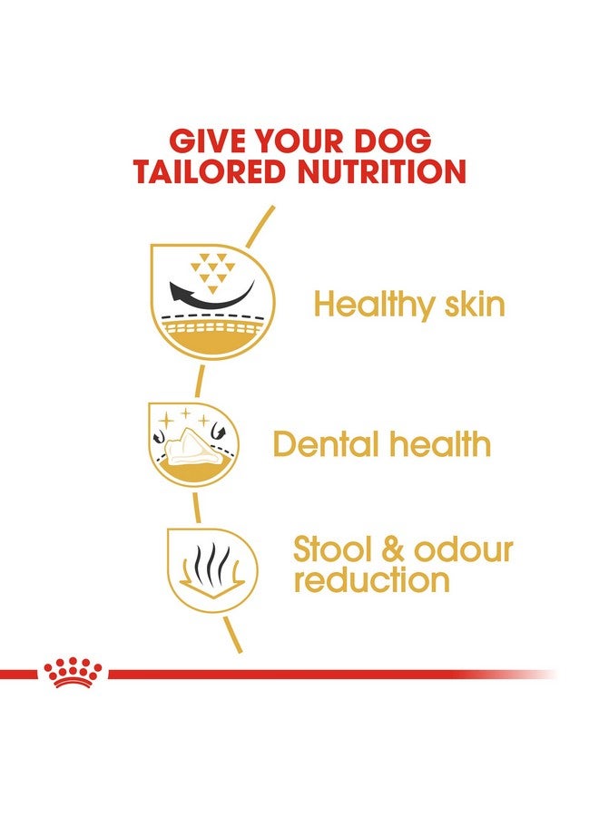 رويال كانين طعام الكلاب من رويال كانين دراي شيه تزو للبالغين، 3000 جرام - Image 3