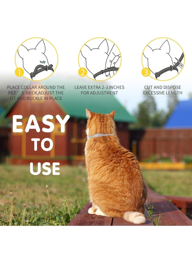 2 Pack Cat Calming Collar Grey Color, Reduce Anxiety, Stress Relief, 60 Days Duration - Image 3