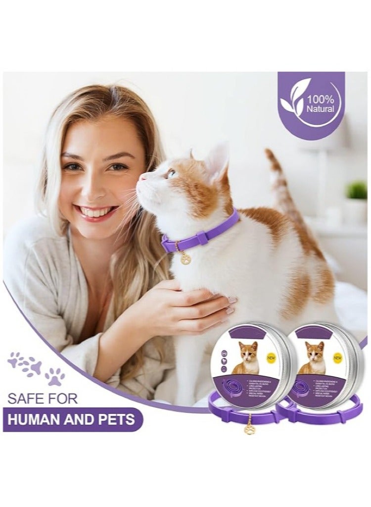 2 Pack Cat Calming Collar Grey Color, Reduce Anxiety, Stress Relief, 60 Days Duration - Image 4