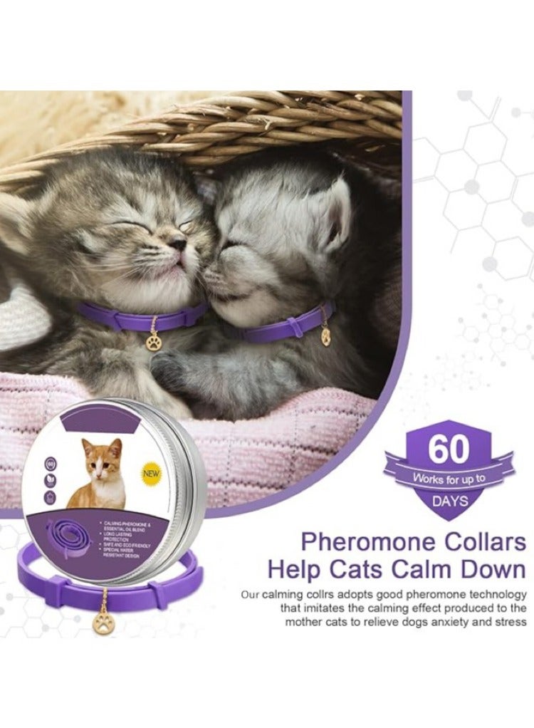 2 Pack Cat Calming Collar Grey Color, Reduce Anxiety, Stress Relief, 60 Days Duration - Image 5