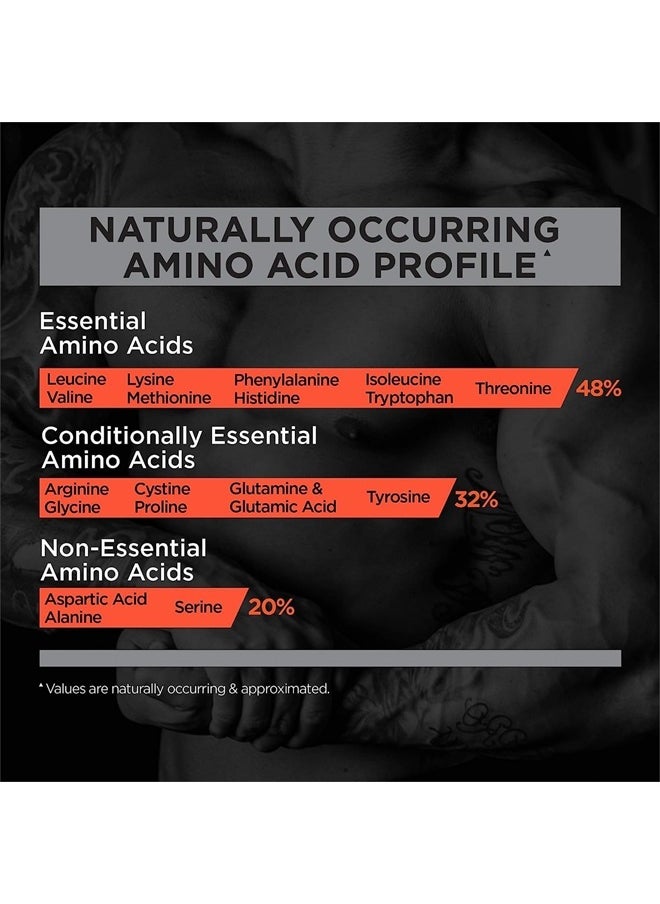 Rule 1 Proteins - Rule 1 R1 Protein, Chocolate Fudge - 10.19 lbs Powder - 25g Whey Isolate & Hydrolysate + 6g BCAAs - 152 Servings - Image 1