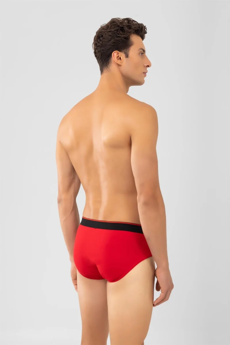 Baykar Cotton Black Striped Men's Briefs 2 Pack Red