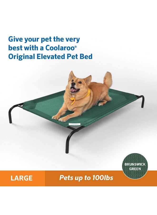 Coolaroo Gale Pacific Coolaroo The Original Cooling Elevated Dog Bed, Indoor and Outdoor, Large, Brunswick Green, 51.00" x 31.50" x 8.00" - Image 2