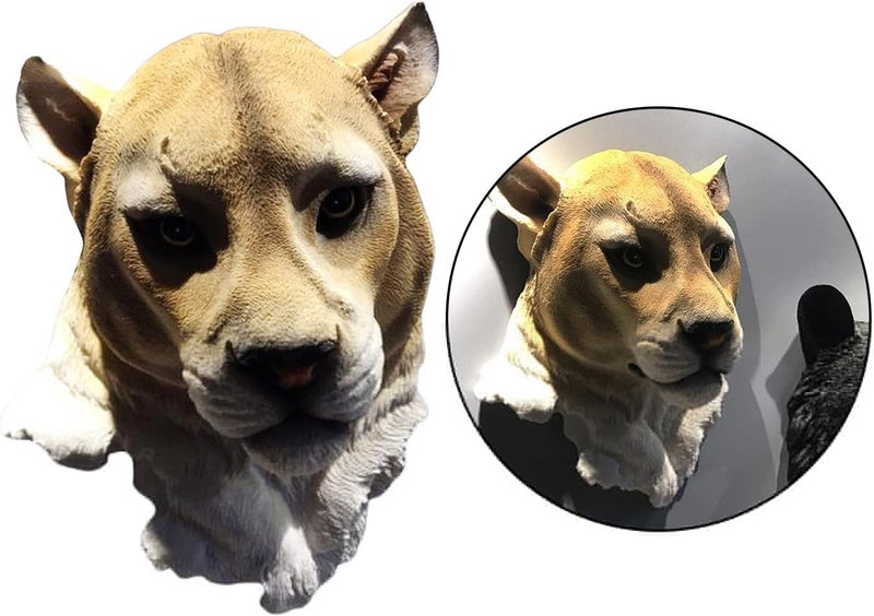 klarakoLifelike Animal Head Wall Decoration Sculpture Bust Wall Hanging Statue Large Wild Animal Wall Decor Taxidermy Resin Art Crafts Ornaments klarakoLeopard - Image 3