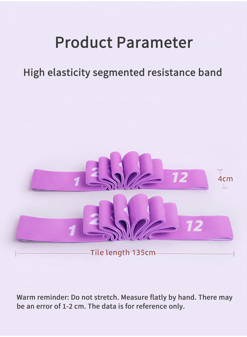 Loucky Resistance Band, Pull Up Bands, Fashion Non Slip Polyester Spandex Workout Bands for Exercise, Adjustable Length & Resistance, 12 Segments with Numbered Stretch Bands for Working Out Women or Men, Physical Therapy, Yoga, Pilates (135cm/Purple) - Image 2