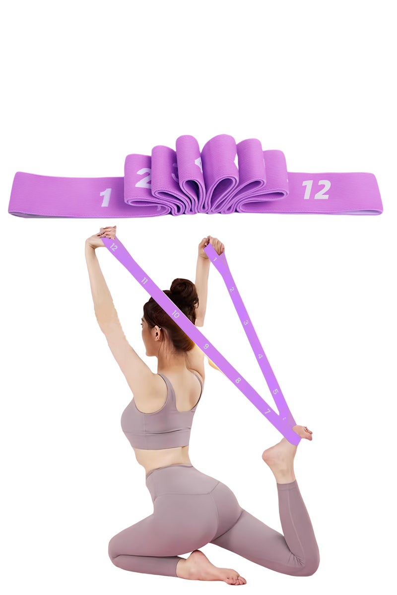 Loucky Resistance Band, Pull Up Bands, Fashion Non Slip Polyester Spandex Workout Bands for Exercise, Adjustable Length & Resistance, 12 Segments with Numbered Stretch Bands for Working Out Women or Men, Physical Therapy, Yoga, Pilates (135cm/Purple) - Image 1