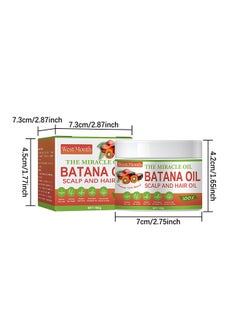 Batana Oil Hair Scalp And Hair Oil - Conditioner, 100% Natural Harmless to Scalp Nourishes Raw Batana Oil Hair Mask for Thicker, Fuller Hair, Reduces Thin Hair, Eliminates Split Ends, Prevents Hair Loss 100g - pzsku/ZA4436EE92801D99D348BZ/45/_/1723859877/3e390419-7fa1-4eb9-b715-b652a14990ed