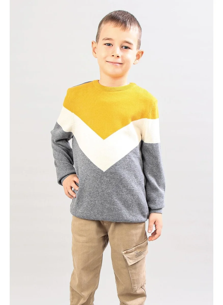 الكسندر جاردي Boy's Patterned Sweater (C21-18667)