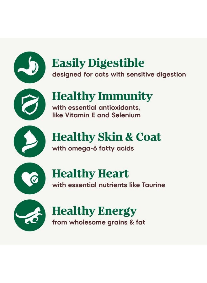 نوترو طعام القطط الجاف Wholesome Essentials، طعام القطط ذو المعدة الحساسة، الدجاج والأرز والبازلاء، 5 رطل. - Image 4