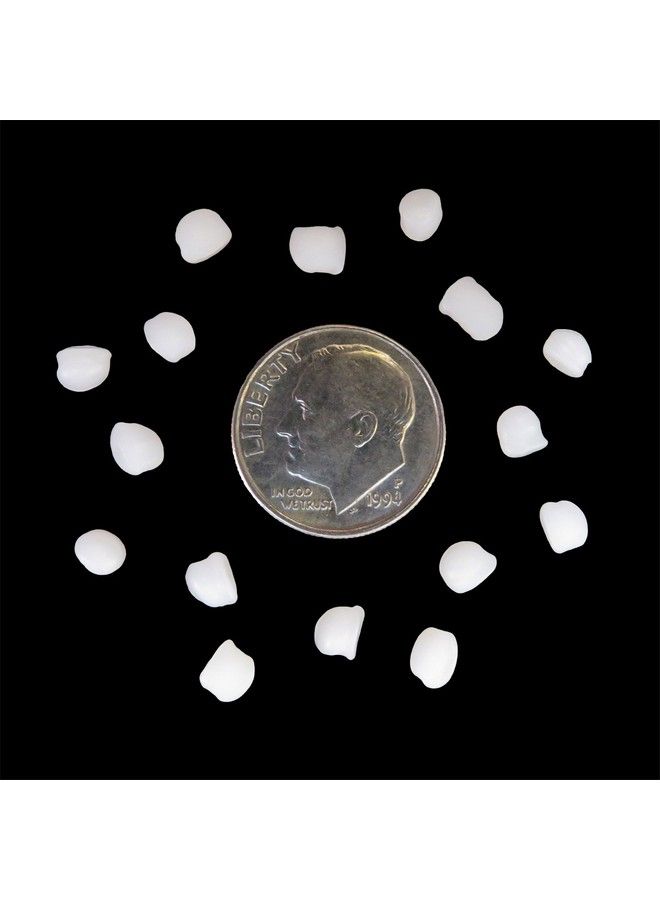 Polly Plastics Polypropylene Plastic Poly Pellets Rock Tumbling Media Rock Tumbler Filler Beads (2 Lb) - Image 4