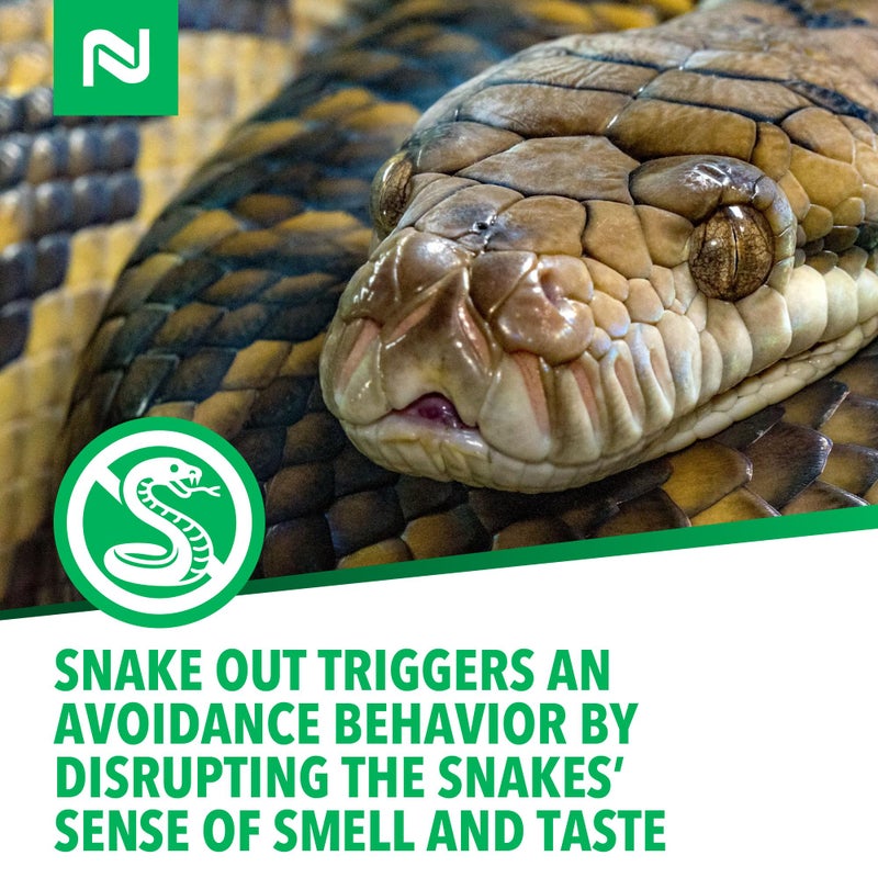 Nisus Snake Out Snake Repellent, Biodegradable, Safe for Pets and Children, Easy Application for Yards, Gardens, and Sheds, 4 lbs - Image 5