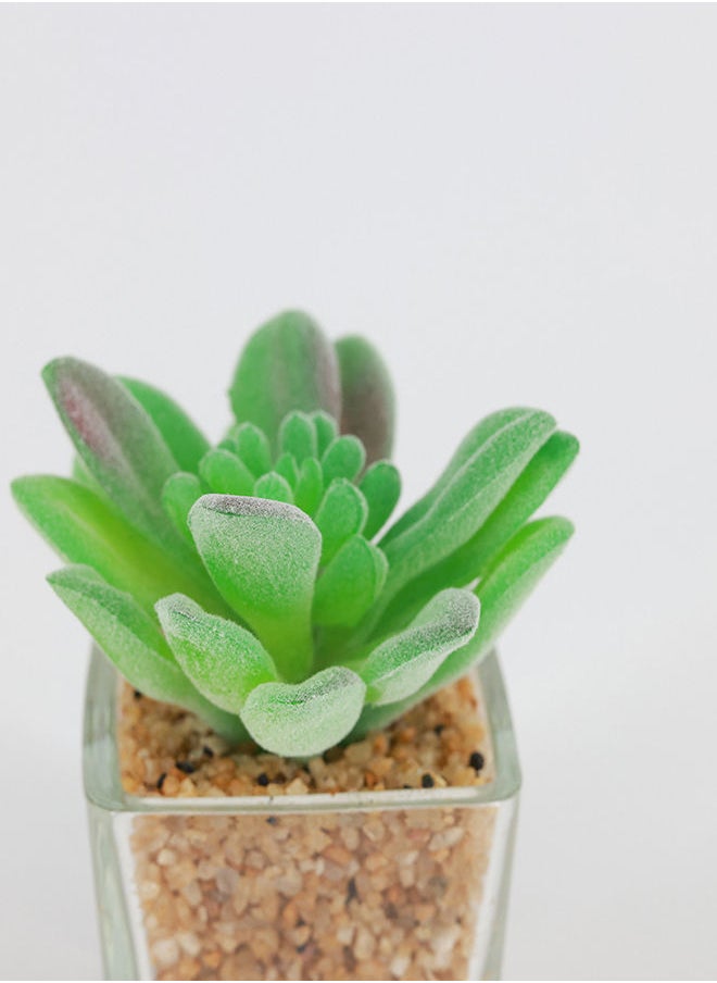 Rahalife Artificial Succulent Bonsai  - Image 3