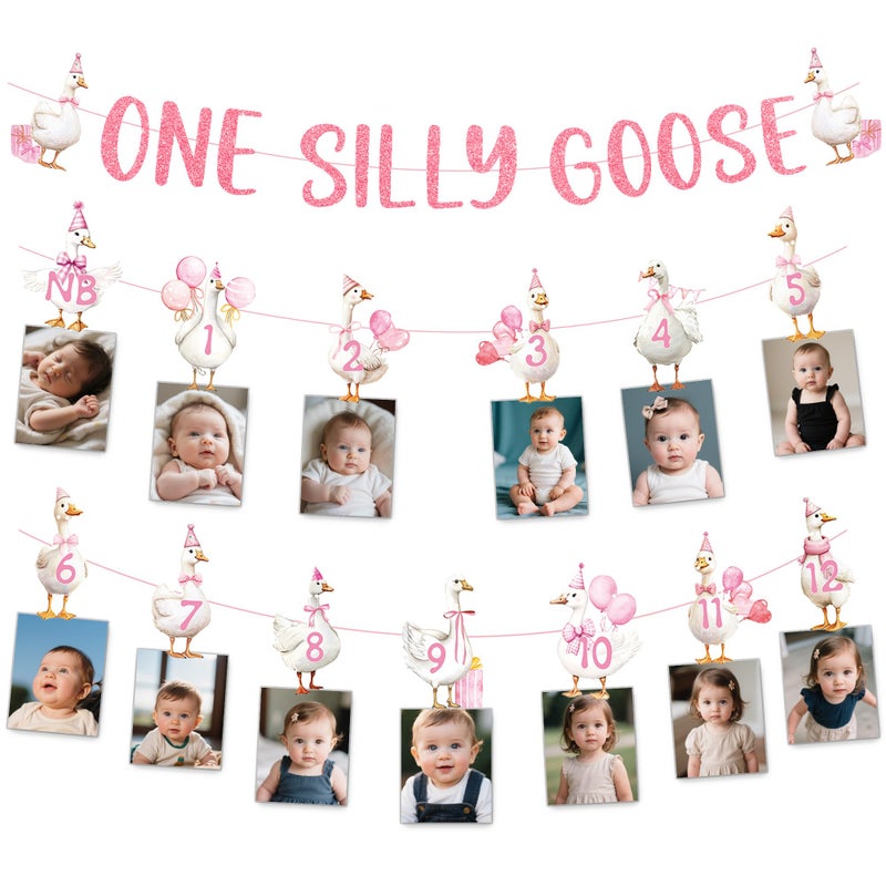 EoBeCy One Silly Cute Goose Birthday Decor for Girl, 1st Birthday Photo Banner Garland with Monthly Picture Holders, Pink Farm Animal Party Supplies for Baby Girl - Image 1