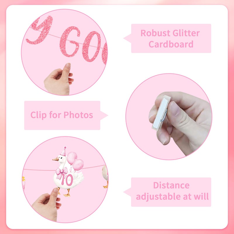 EoBeCy One Silly Cute Goose Birthday Decor for Girl, 1st Birthday Photo Banner Garland with Monthly Picture Holders, Pink Farm Animal Party Supplies for Baby Girl - Image 3