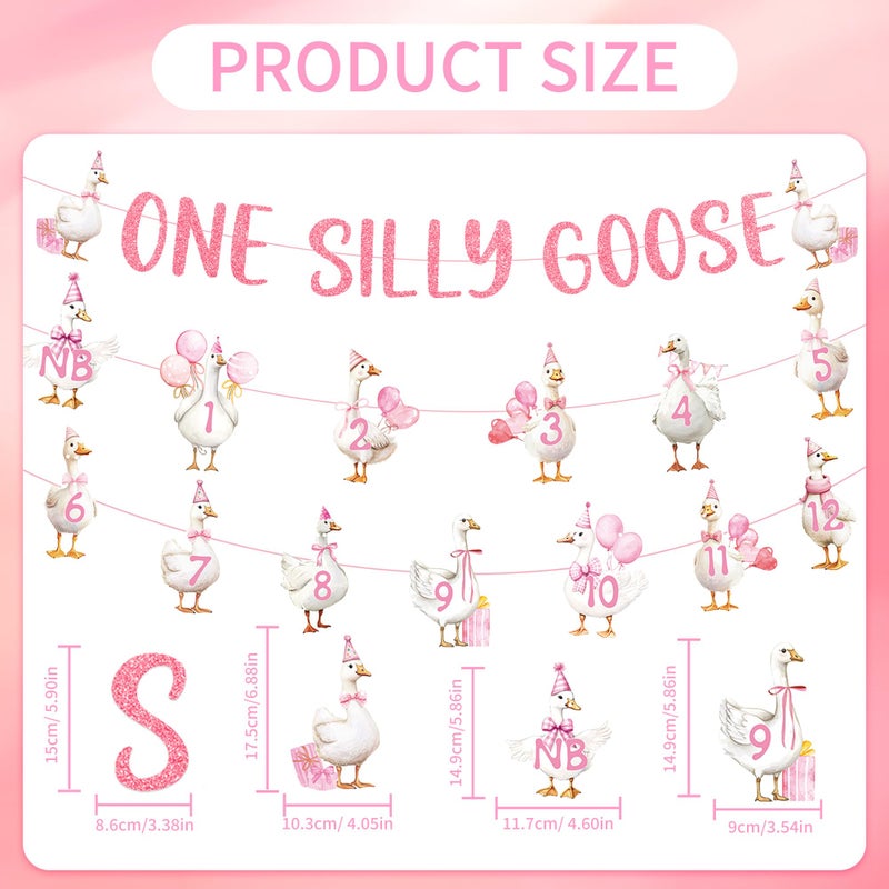 EoBeCy One Silly Cute Goose Birthday Decor for Girl, 1st Birthday Photo Banner Garland with Monthly Picture Holders, Pink Farm Animal Party Supplies for Baby Girl - Image 2